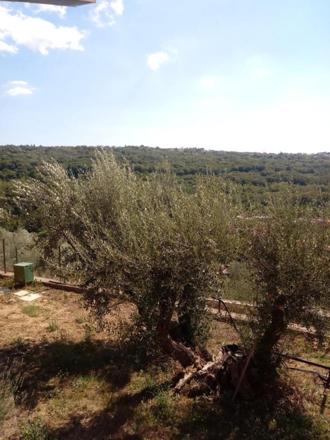 דירות דקאני V Klancu מראה חיצוני תמונה